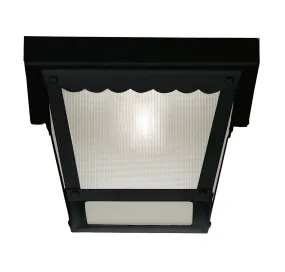 1-Light Outdoor Ceiling Light