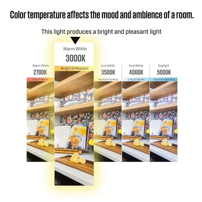 3.3 Watt (40 Watt Equivalent) CA11 Dimmable Filament LED Light Bulb