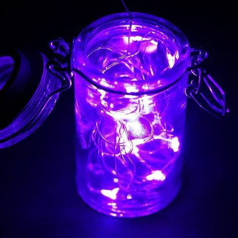 6FT Wholesale Purple Wedding Party Decor Outdoor LED Light Lamp Fairy Strings