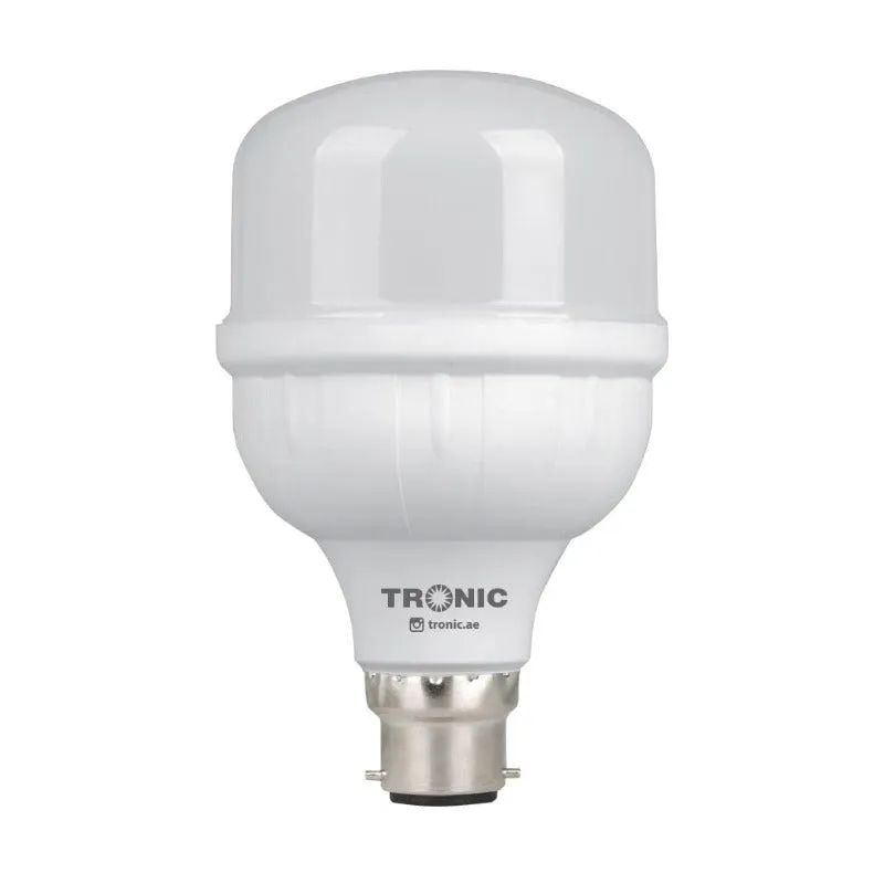 Bulb LED 20 Watts Day Light B22 (Pin)