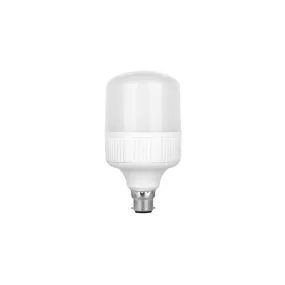 Bulb LED 30 Watts B22 (Pin)