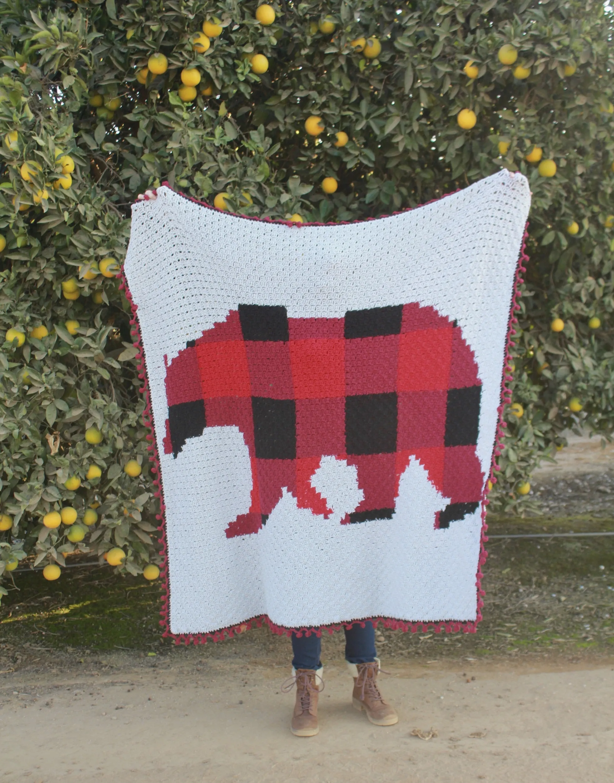 Crochet Kit - C2C Plaid Bear Blanket