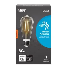 Feit LED Intellibulb ST19 E26 (Medium) LED Motion Activated Bulb Soft White 60 Watt Equivalence 1 pk