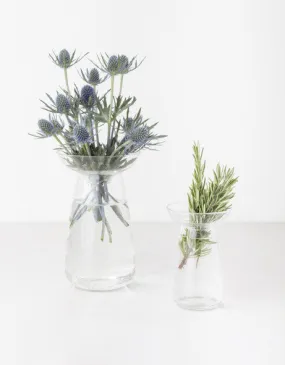 Glass Plant Vessel