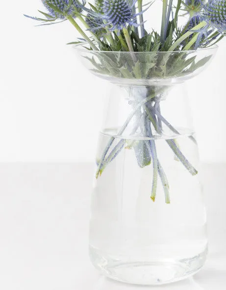 Glass Plant Vessel