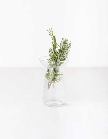 Glass Plant Vessel