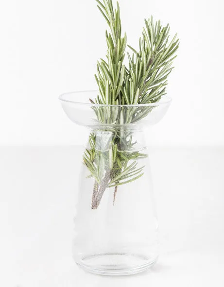 Glass Plant Vessel