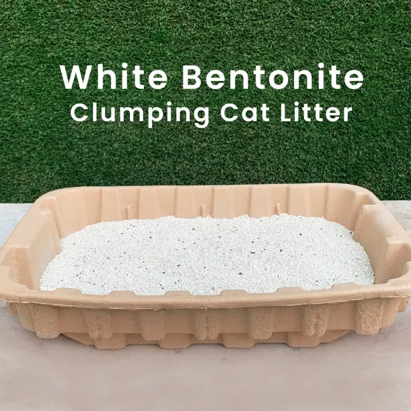 Goofy Tails Unscented White Bentonite Clumping Cat Litter for Cats and Kittens