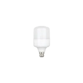 LED Bulb 40W B22 Day Light