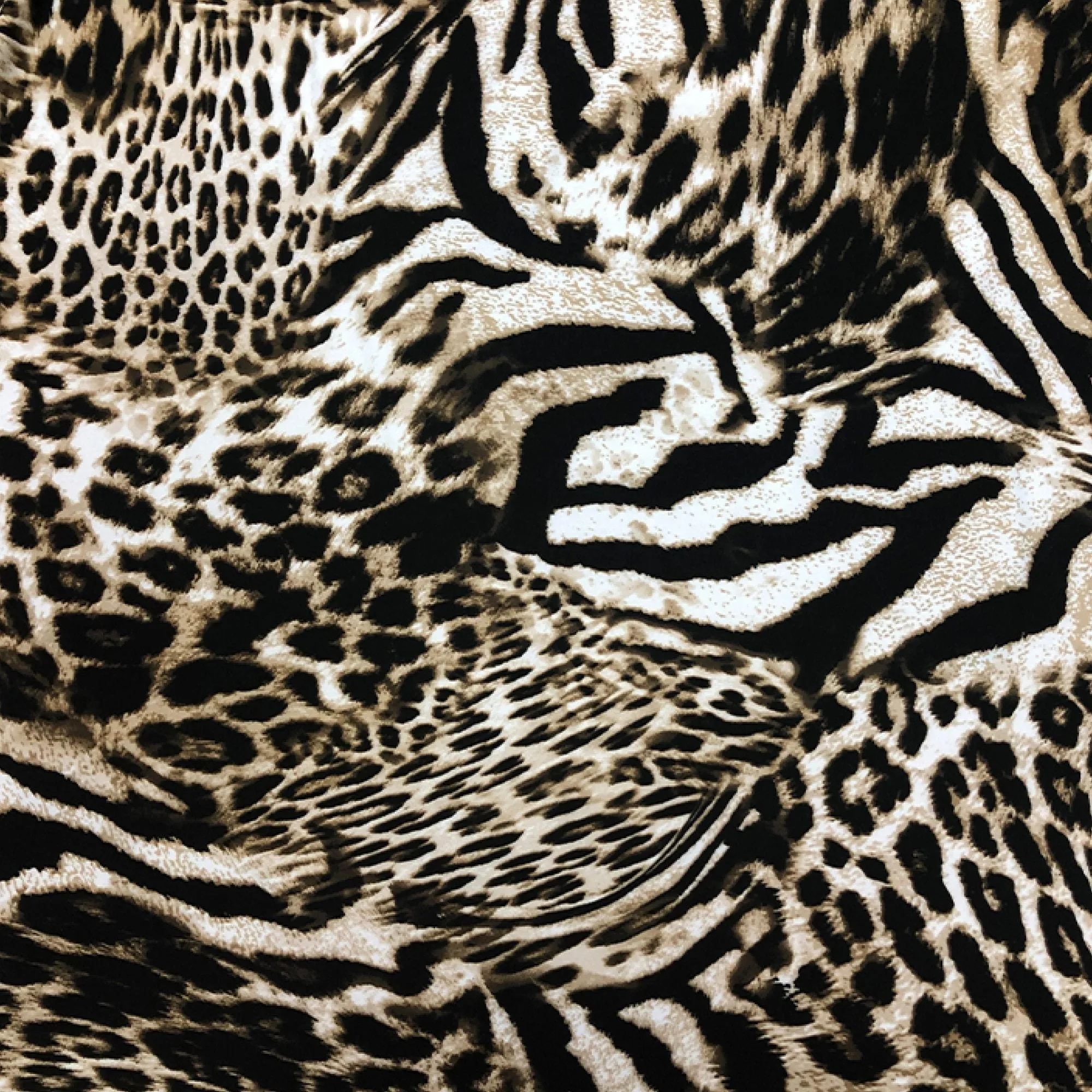 Leopard Brown Plush Mink Blanket | 78x94''