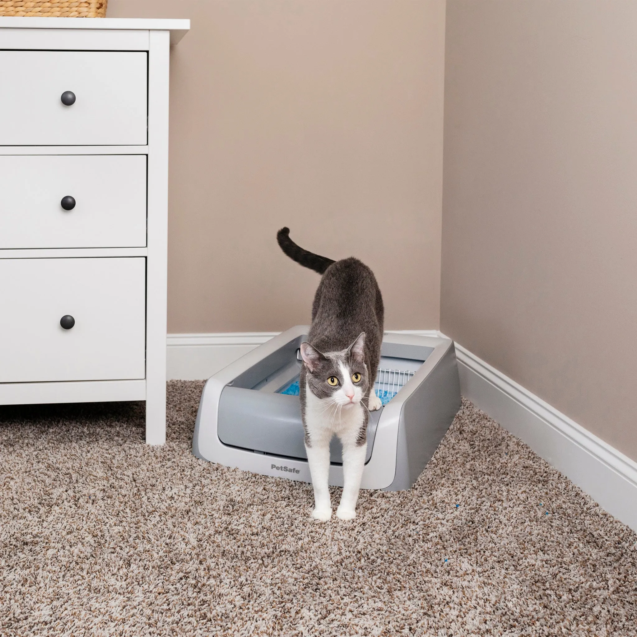 ScoopFree™ Self-Cleaning Litter Box, Second Generation