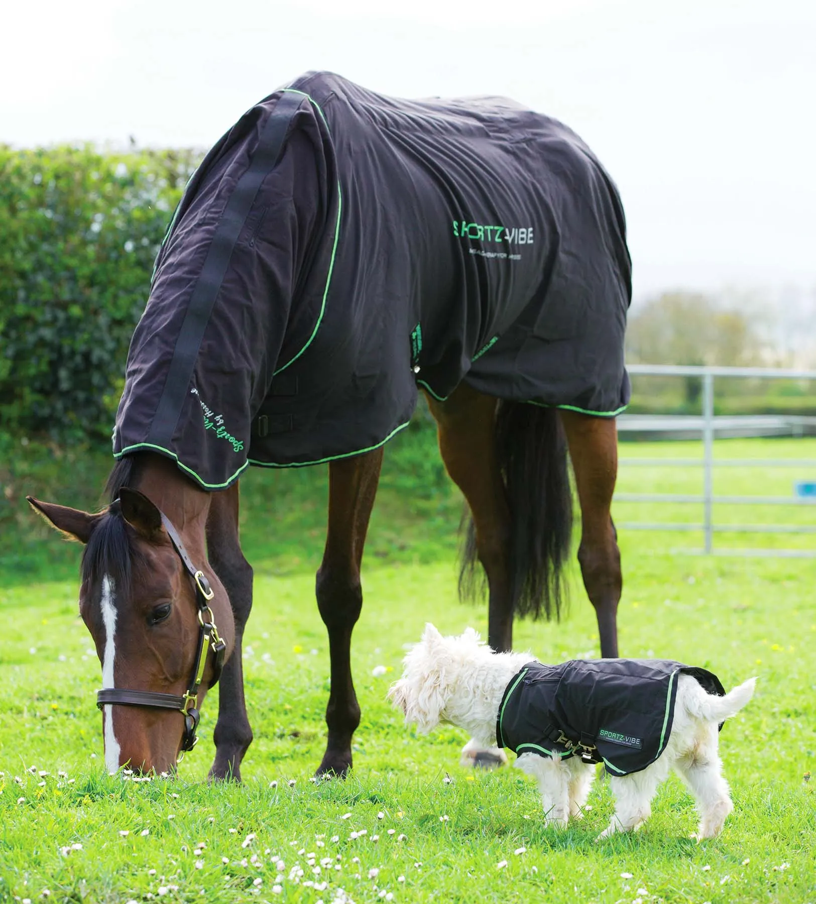 Sportz-Vibe Massage Therapy Blanket for Horses