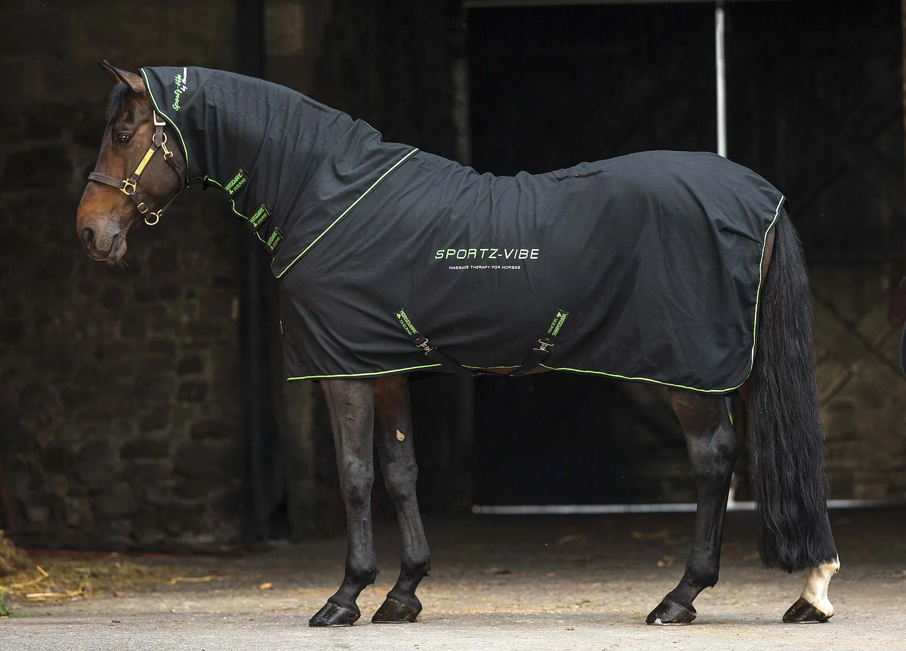 Sportz-Vibe Massage Therapy Blanket for Horses