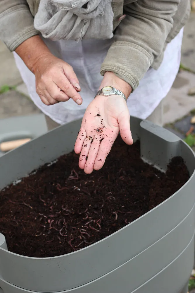 Urbalive Worm Composter